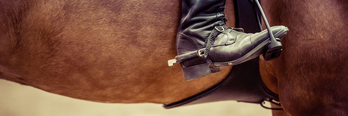 Photo of a horse and rider's boot in stir up