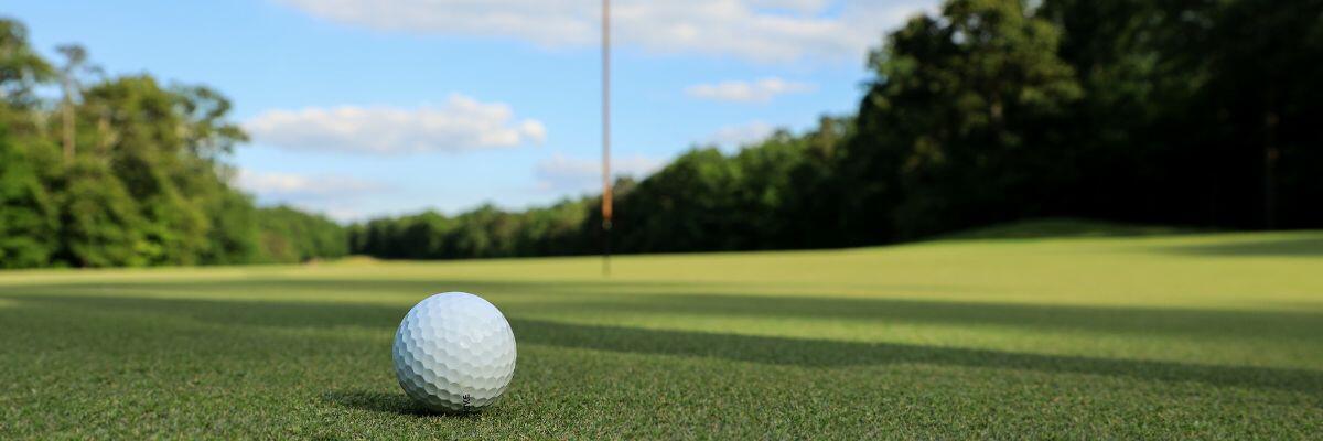 Photo of a Golf Ball on the Green